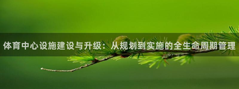 意昂4科技：体育中心设施建设与升级：从规划到实施的全