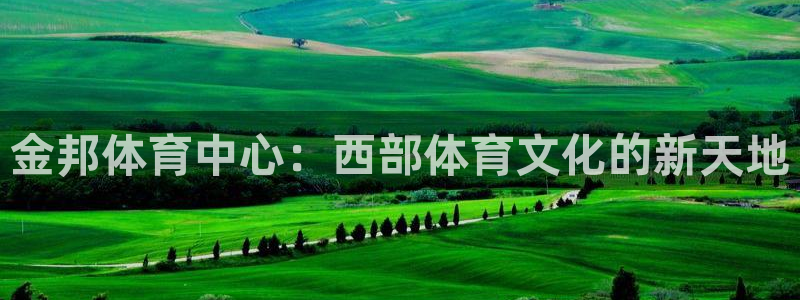 意昂4新能源：金邦体育中心：西部体育文化的新天地