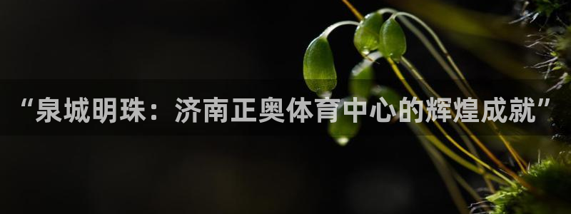 意昂体育4平台注册流程视频：“泉城明珠：济南正奥体育