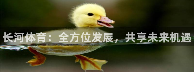 意昂体育4平台注册流程视频：长河体育：全方位发展，共