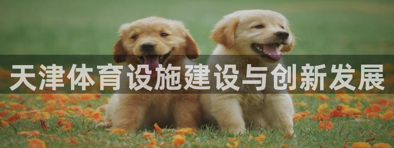 意昂体育4招商电话是多少啊：天津体育设施建设与创新发