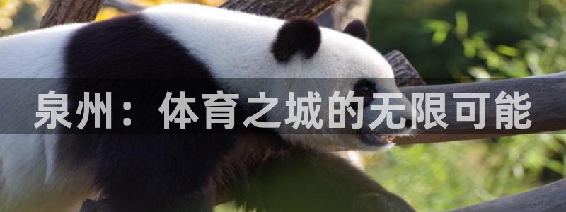 意昂体育4平台注册要钱吗安全吗：泉州：体育之城的无限