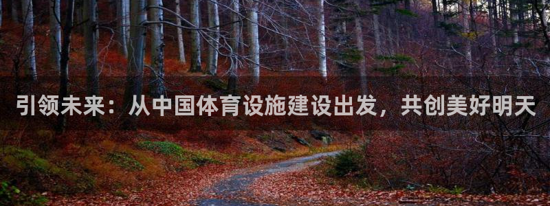 意昂4集团官网首页：引领未来：从中国体育设施建设出发