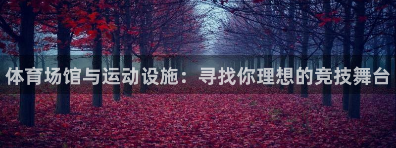 意昂4集团：体育场馆与运动设施：寻找你理想的竞技舞台
