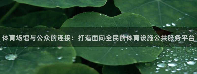 意昂4集团logo：体育场馆与公众的连接：打造面向全