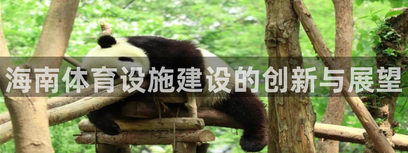 意昂4娱乐下载：海南体育设施建设的创新与展望
