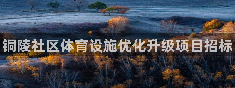 意昂体育4开户：铜陵社区体育设施优化升级项目招标