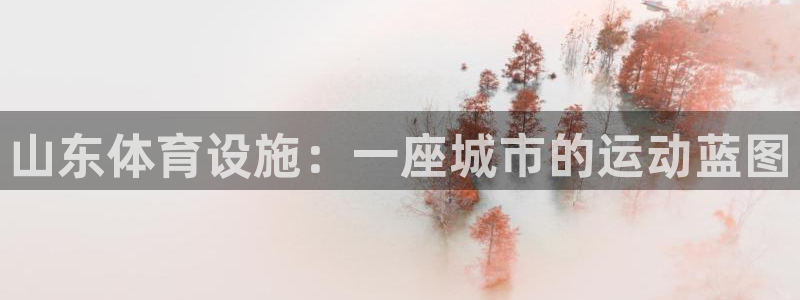 意昂体育4平台注册：山东体育设施：一座城市的运动蓝图