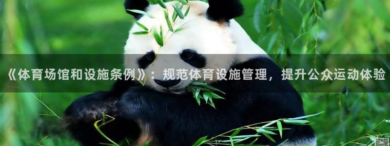 意昂4五金厂：《体育场馆和设施条例》：规范体育设施管理，提升 