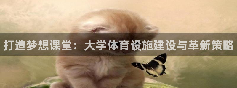意昂4官网：打造梦想课堂：大学体育设施建设与革新策略 