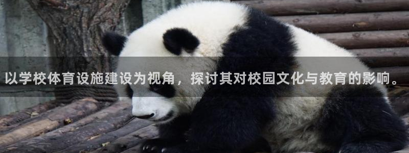 意昂4官网：以学校体育设施建设为视角，探讨其对校园文化与教育