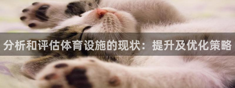 意昂4娱乐首页网站大全：分析和评估体育设施的现状：提升及优化