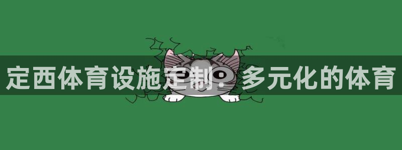 意昂体育4平台假的吗是真的吗吗：定西体育设施定制：多元化的体 