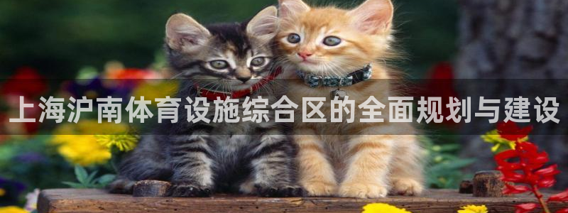 意昂4集团官网网址：上海沪南体育设施综合区的全面规划与建设