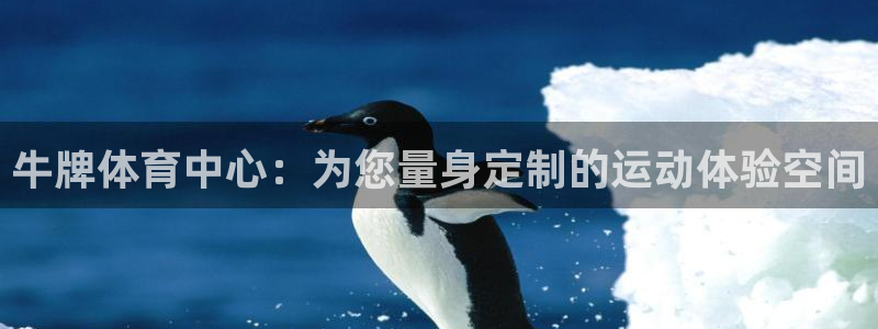 意昂体育4招商电话：牛牌体育中心：为您量身定制的运动体验空间