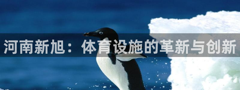 意昂体育4联系电话：河南新旭：体育设施的革新与创新 