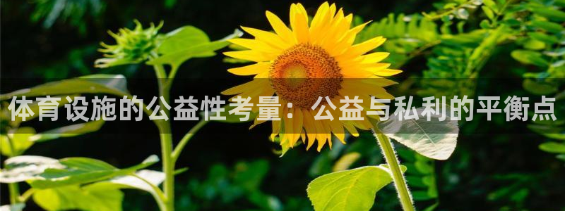 意昂体育4平台APP：体育设施的公益性考量：公益与私利的平衡