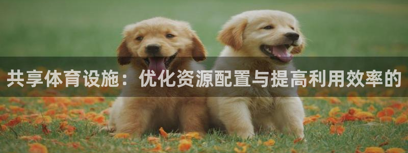 意昂体育4平台注册流程图：共享体育设施：优化资源配置与提高利