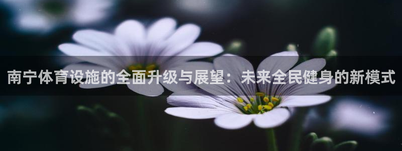 意昂4娱乐平台：南宁体育设施的全面升级与展望：未来全民健身的 