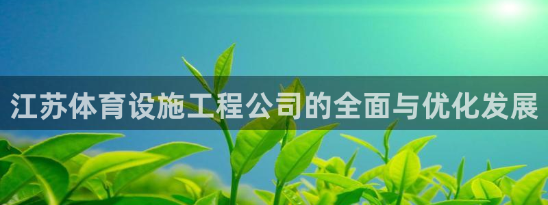 意昂4集团E.ON：江苏体育设施工程公司的全面与优化发展