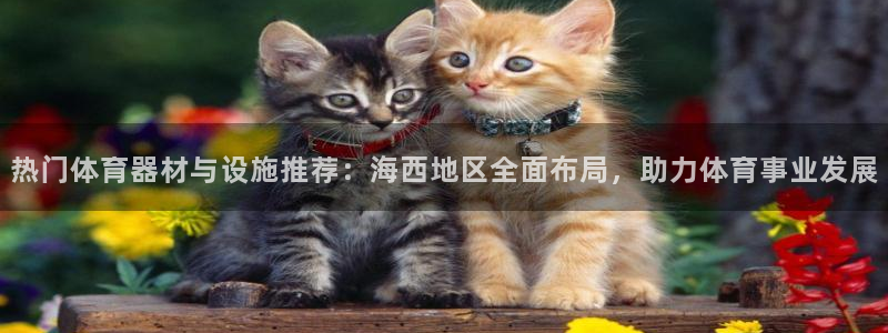 意昂平台体育：热门体育器材与设施推荐：海西地区全面布局，助力