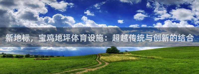 意昂4集团logo：新地标，宝鸡地坪体育设施：超越传统与创新 